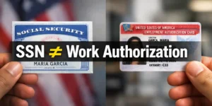 Comparison showing that a Social Security Number does not equal work authorization for DACA recipients in the United States